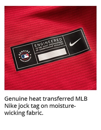 Men's Minnesota Twins Nike Red Alternate Replica Team Jersey